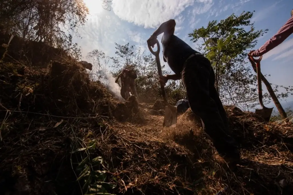 Imagen Controlados pero no liquidados incendios forestales en Ayahualulco y Las Minas, Veracrruz 