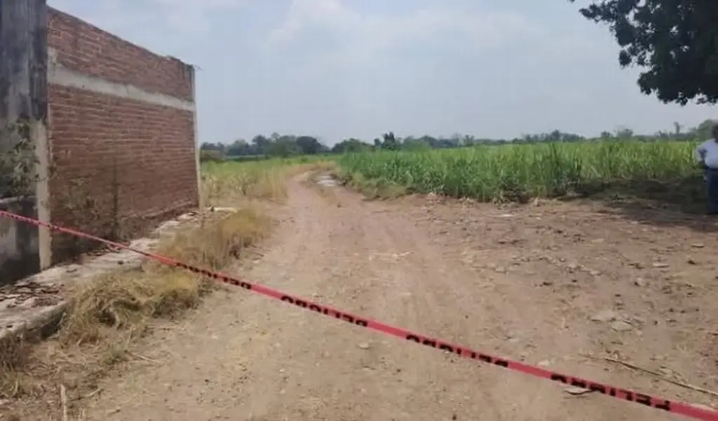 Imagen Hallan sin vida a joven en camino de terracería en Cuitláhuac, Veracruz 