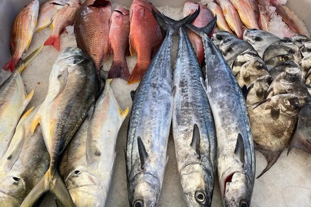 Imagen ¿Cómo saber si el pescado está fresco?