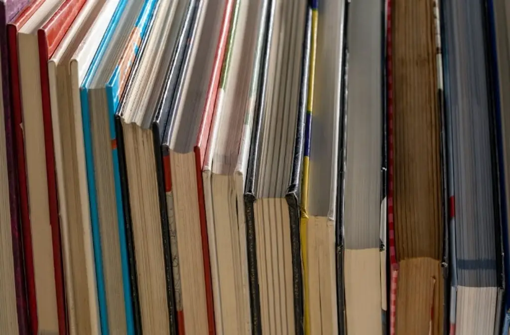 Imagen Para este fin de semana largo, invitan a leer 'Dinero y escritura' 
