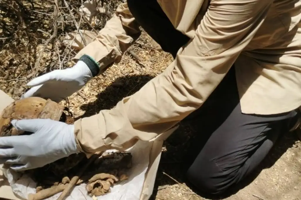 Imagen Hallan madres Buscadoras 6 cuerpos, celulares y ropa en fosas clandestinas en Hermosillo