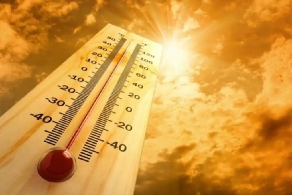 Imagen Estos municipios de Veracruz rozan sensación térmica de 40 grados Celsius