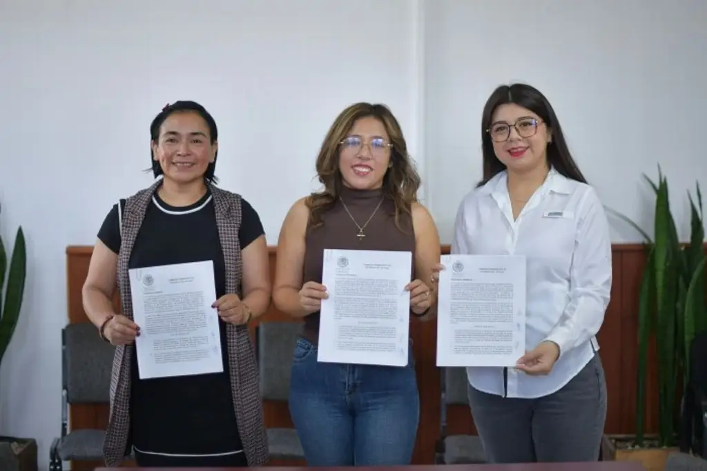 Imagen Declara Comisión de Hacienda procedentes 2 iniciativas de Rocío Nahle 