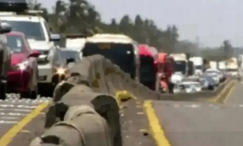 Imagen Hay cierre a la circulación en autopista de Veracruz; es por esta razón 