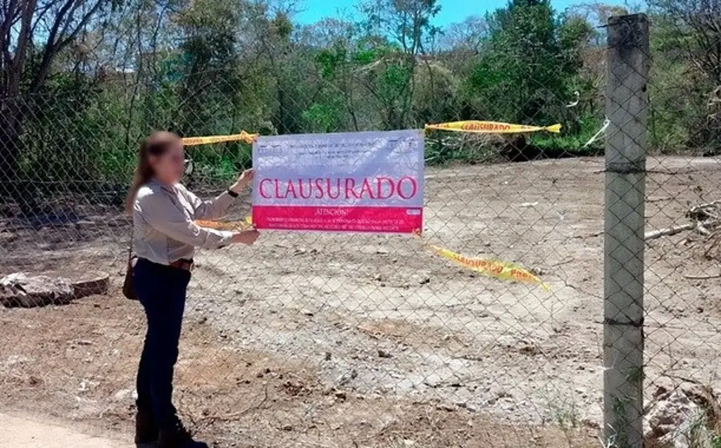 Imagen Profepa clausura predio en Xalapa por daño ambiental en zona de bosque mesófilo