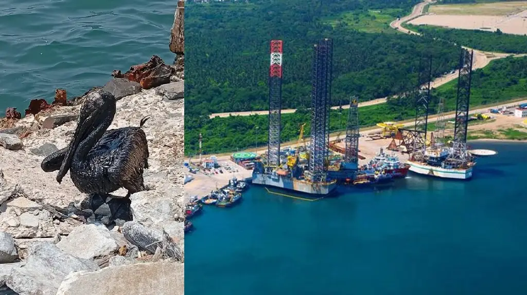 Imagen ¿Cuándo terminará limpieza en playas por derrame en refinería de Dos Bocas? 