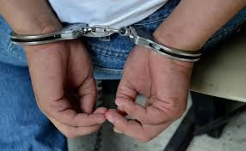 Imagen Por presunto fraude, detienen a hijo de exdirectivo de AHMSA