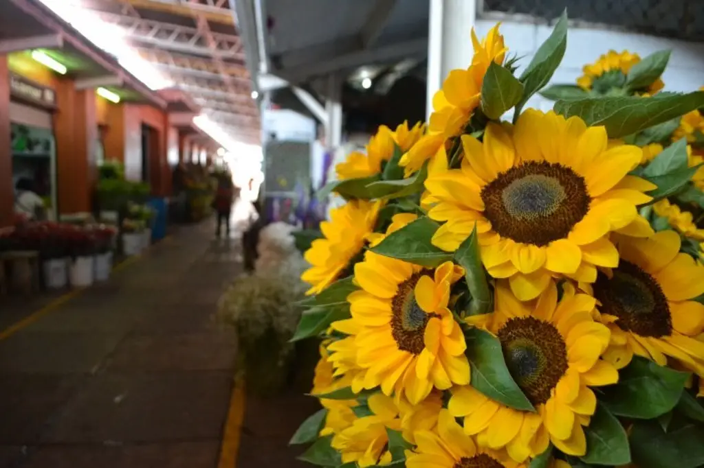 Imagen Canaco Orizaba estiman en 10% el repunte en ventas por Día de las Madres 