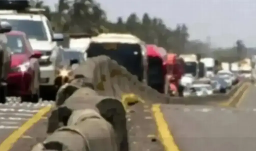 Imagen Hay cierre parcial de circulación en carretera de Veracruz; es por esta razón