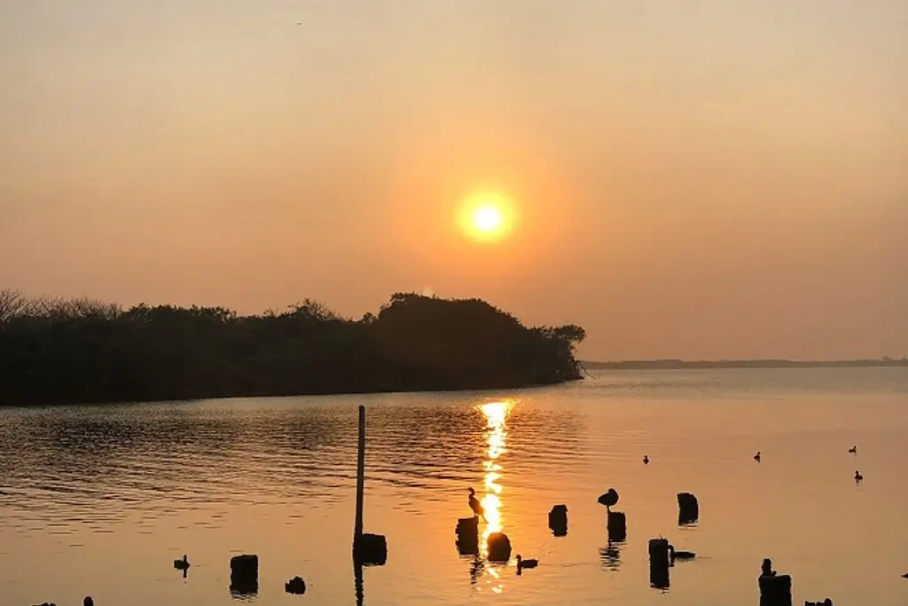 Imagen Este es el pronóstico del tiempo para Veracruz-Boca del Río, ¿Lloverá?