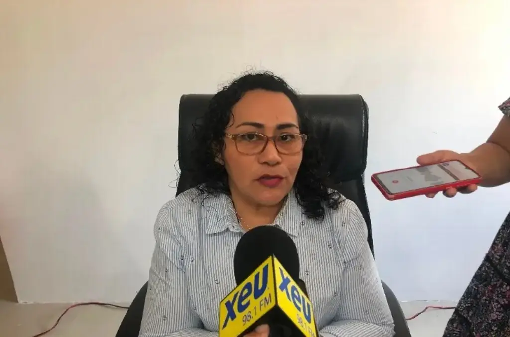 Imagen Llegan boletas al distrito 4 del INE para la elección del Poder Judicial 