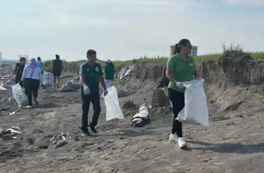 Imagen Realizarán limpieza de playas en Boca del Río