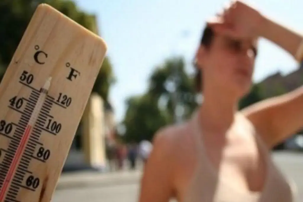 Imagen ¿Cómo prevenir el golpe de calor? Esto dijo especialista