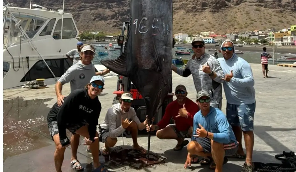 ¿Qué características tiene el marlín gigante capturado por pescadores de Veracruz?