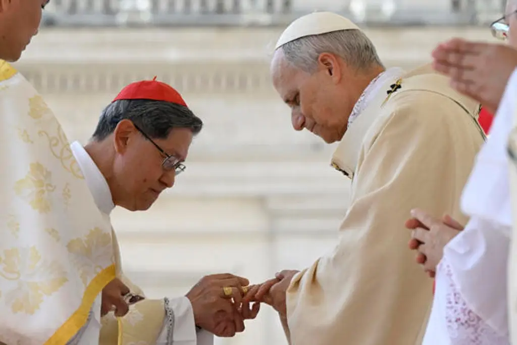 Imagen Iglesia Católica celebra la elección del papa León XIV como signo de esperanza