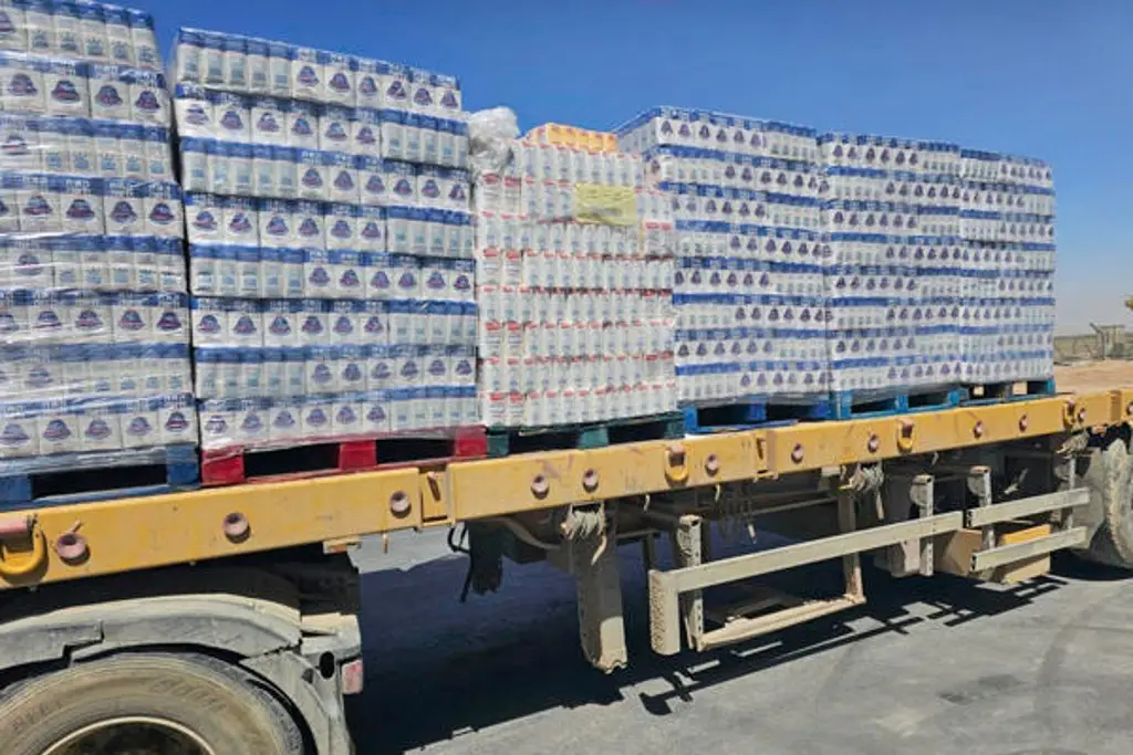 Imagen Israel permitirá la entrada a Gaza de ayuda humanitaria 'urgente' desde Emiratos Árabes
