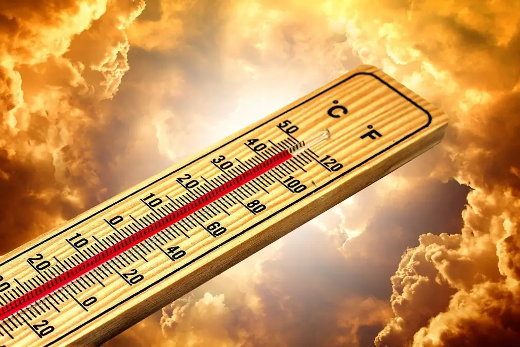 Imagen Checa qué municipio de Veracruz alcanza sensación térmica de 50 grados Celsius
