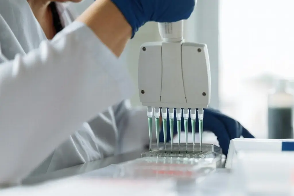Descubren una mutación genética que aumentó la estatura y aceleró el metabolismo humano