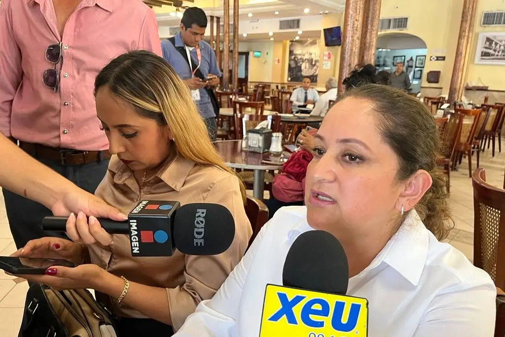 Imagen Candidata del PT de Tenampa, Veracruz acusa amedrentamiento y amenazas