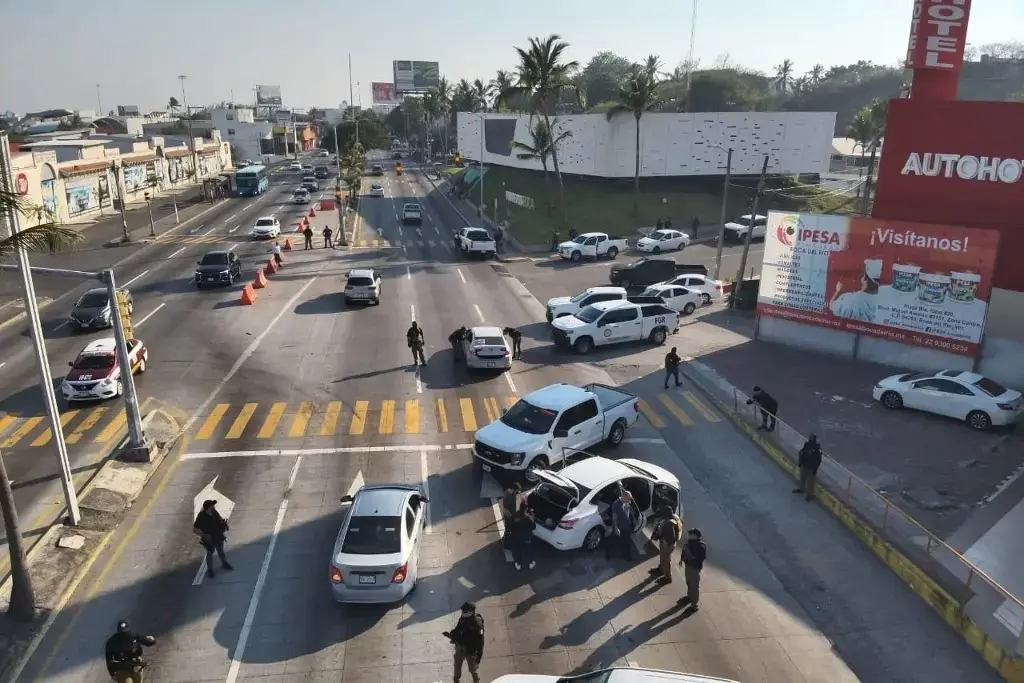 Imagen Este es el protocolo que debe seguir un ciudadano ante un operativo de seguridad en Veracruz 