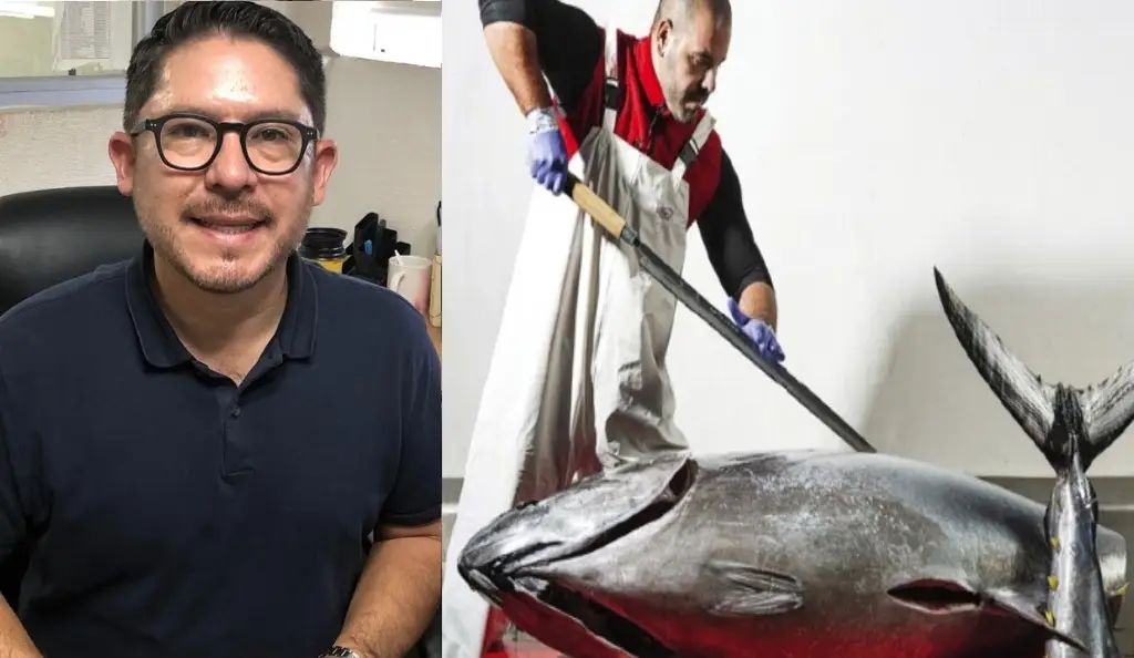 Imagen Por primera vez se presenta el Ronqueo de Atún Aleta Azul en Veracruz-Boca del Río