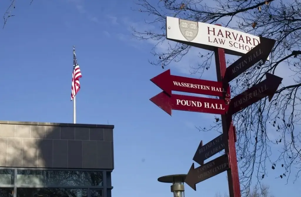 Imagen Juez bloquea veto de Trump para matricular extranjeros en Harvard