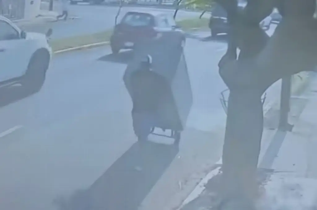 Imagen Roban academia de baile en Veracruz; se llevan hasta el refrigerador y el clima (video)