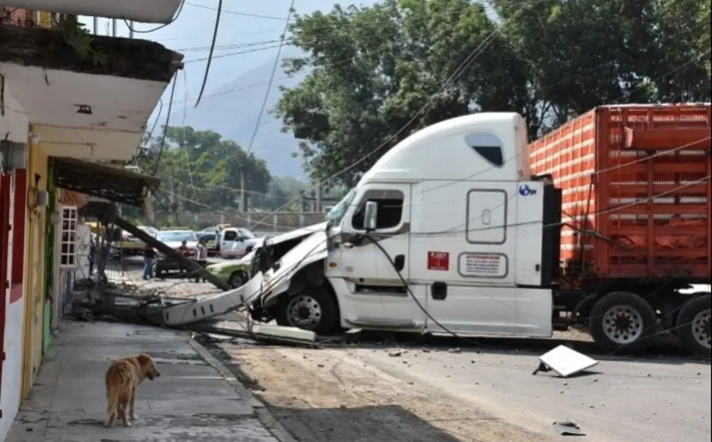 Imagen Tráiler derriba postes, daña casas y deja personas con crisis nerviosa en Nogales, Veracruz