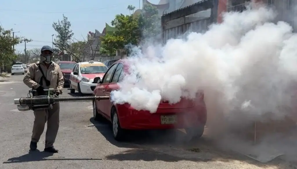Imagen Veracruz acumula 558 casos confirmados de dengue en 2025; es el segundo estado con más contagios