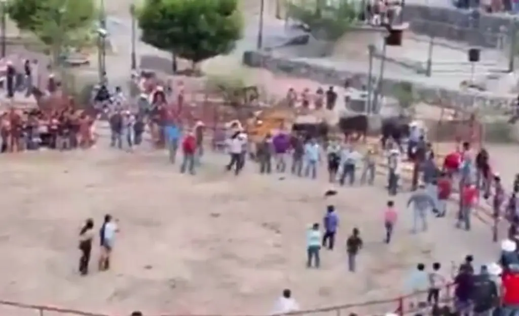 Imagen Repudian rodeo con gatos atados con fuegos artificiales en Guanajuato (+Video)	