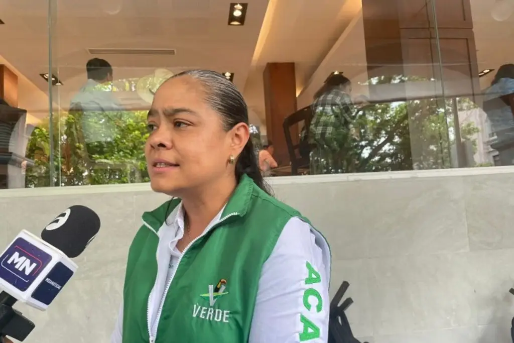 Imagen Candidata del PVEM en Acajete denuncia atentado contra su equipo de campaña