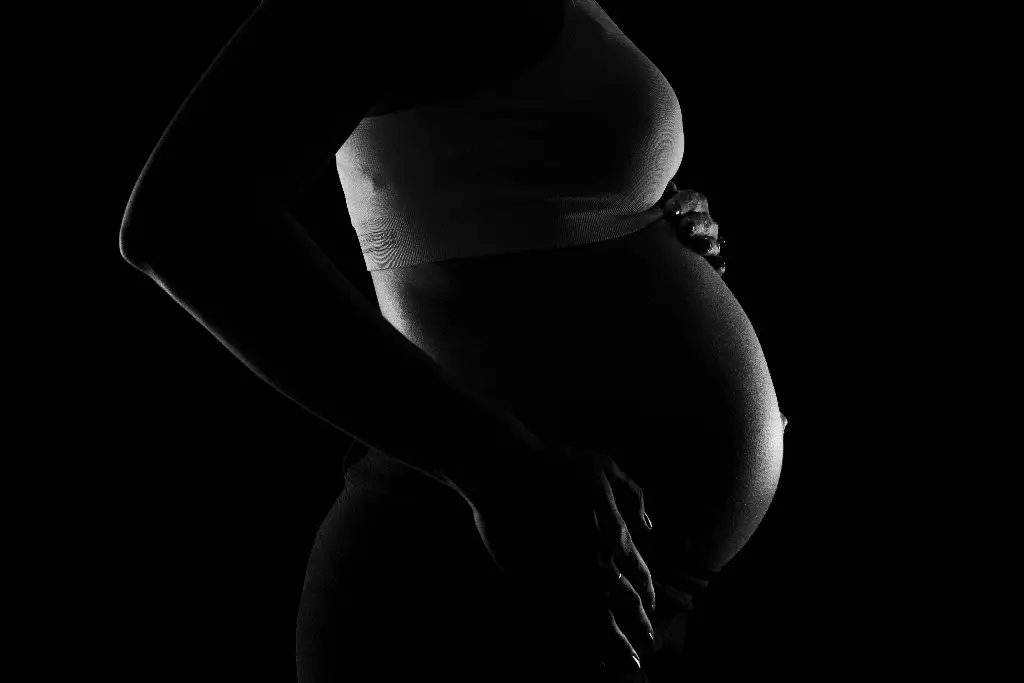 Imagen Congreso de Guanajuato frena la despenalización del aborto 