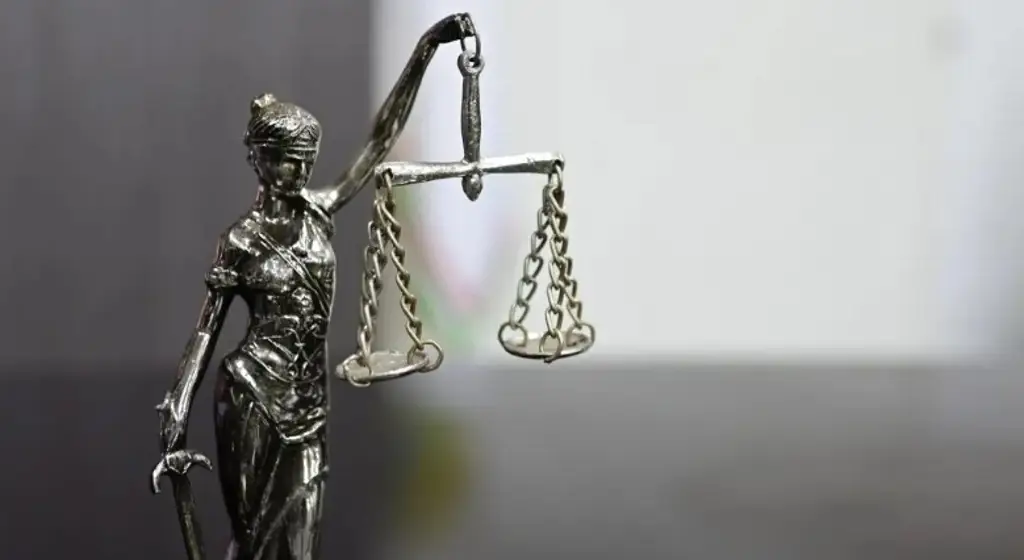 Imagen Elección judicial se hará en medio de lagunas legales: consejero