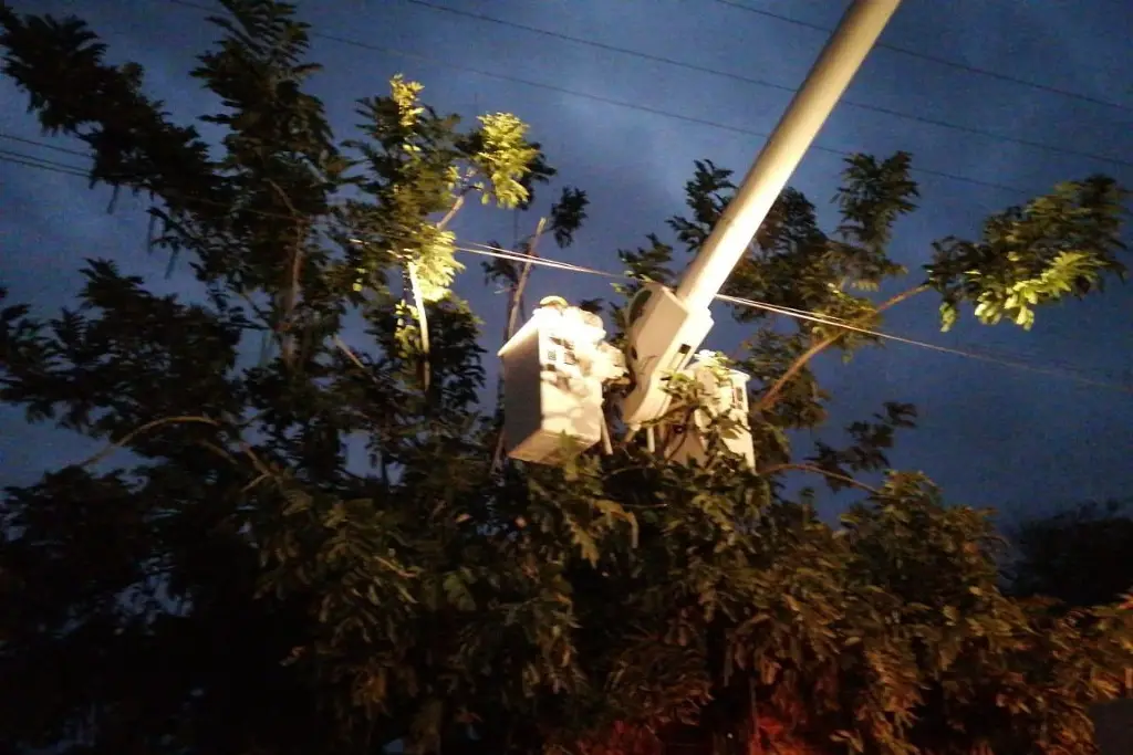 Imagen ¿Te afectó el apagón en Boca del Río? Esto informa CFE