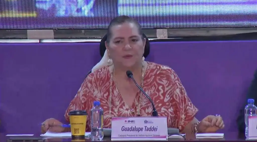 Imagen Fueron 25 paquetes electorales los robados en Chiapas: presidenta de INE