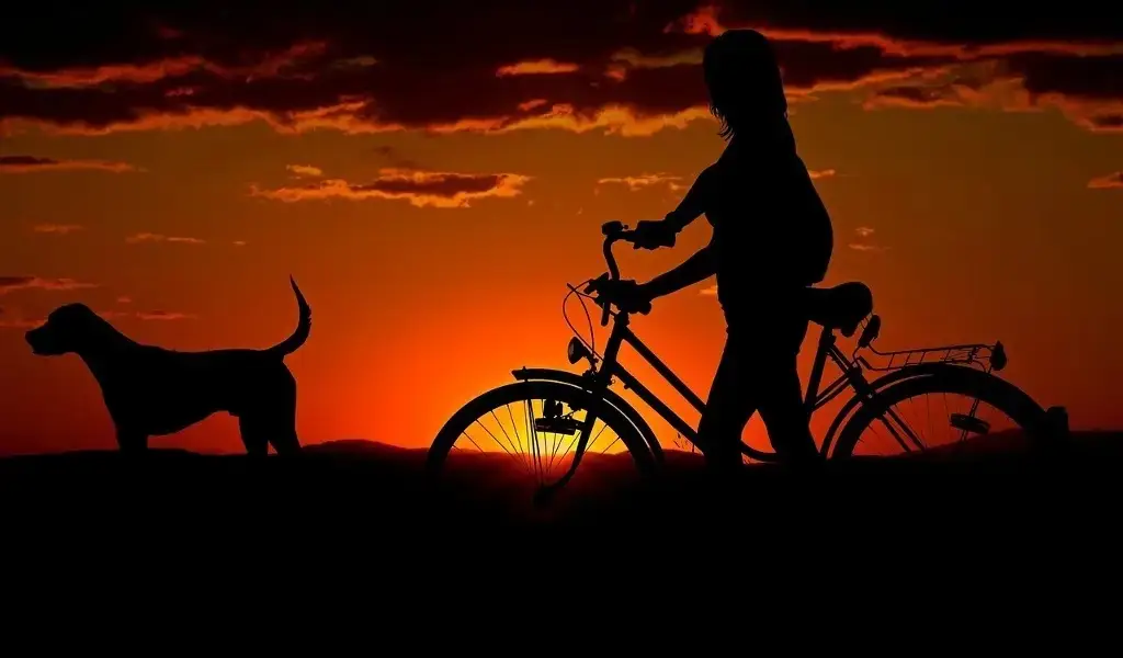 Imagen Hoy es el Día Mundial de la Bicicleta