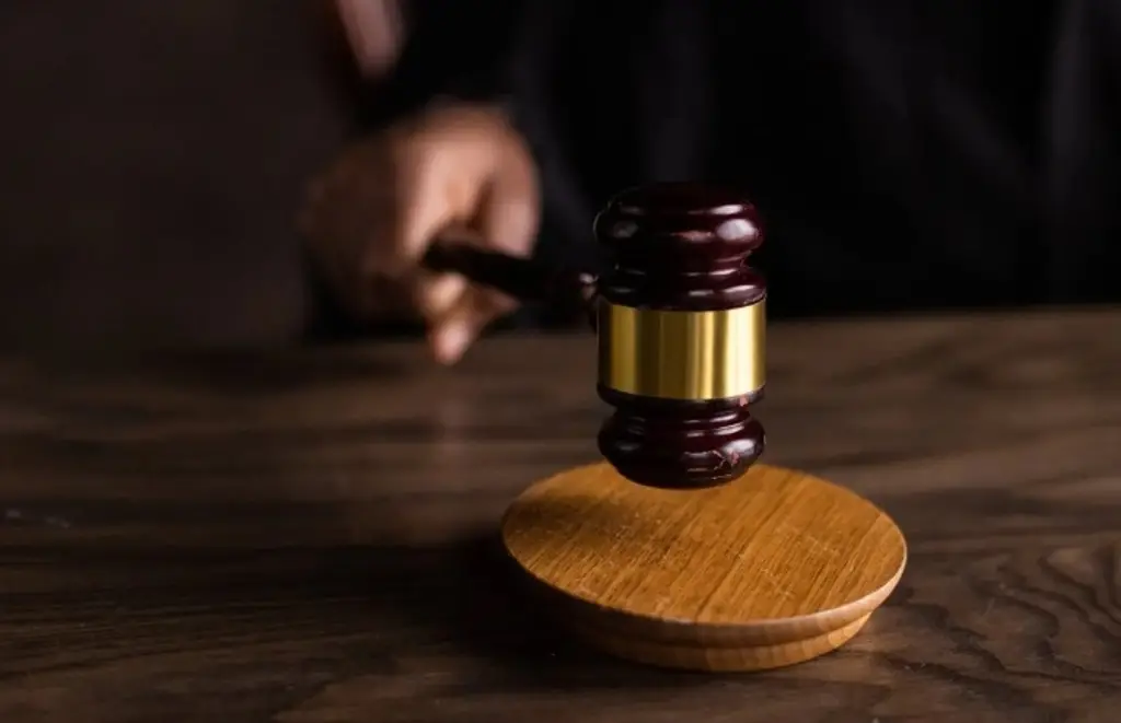 Imagen Elección judicial provocará una justicia 'más lenta' para las personas: Analista 