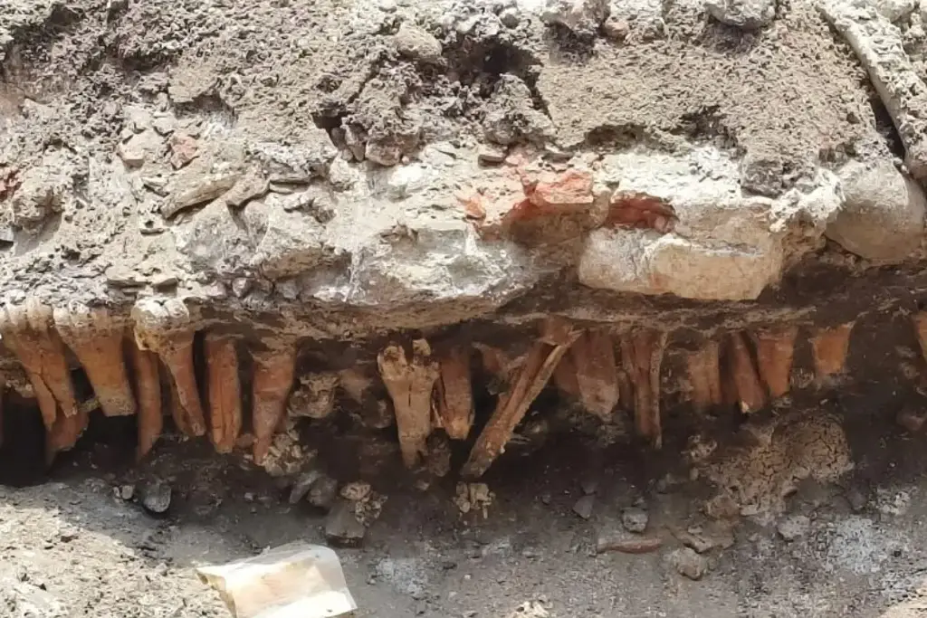 Imagen INAH aclara sobre presuntos restos óseos hallados en 5 de Mayo