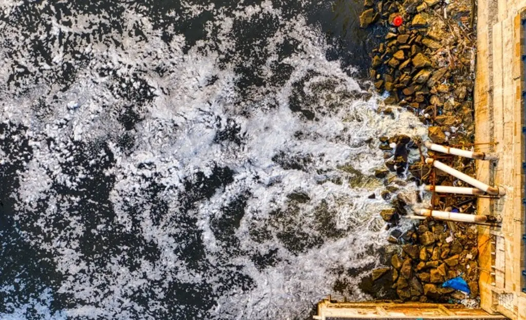 Imagen Expertos de varios países trabajan en una tecnología para eliminar contaminantes en aguas