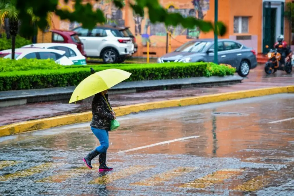 Imagen Lluvias anticipadas retrasan 6 obras públicas en Xalapa: Alcalde