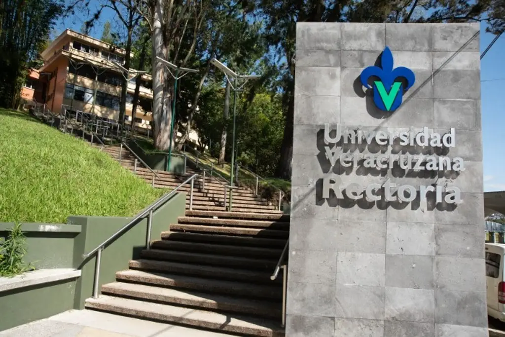 Imagen Universitarios convocan a marcha el lunes; exigen convocatoria para elegir rector