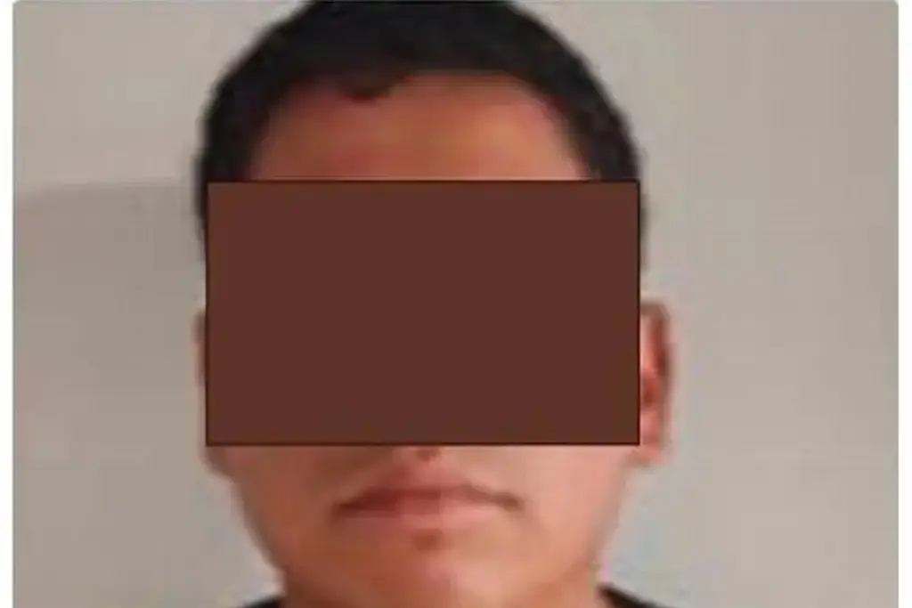 Imagen Dictan auto de formal prisión por secuestro de hijo de fundadora del Colectivo Solecito en Veracruz