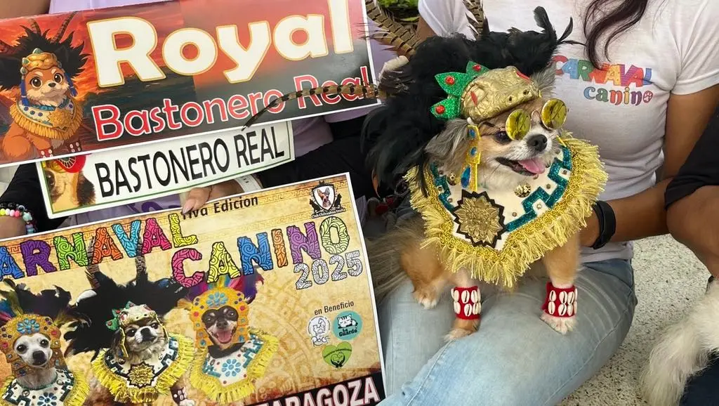 Imagen Este domingo habrá Carnaval Canino en Veracruz
