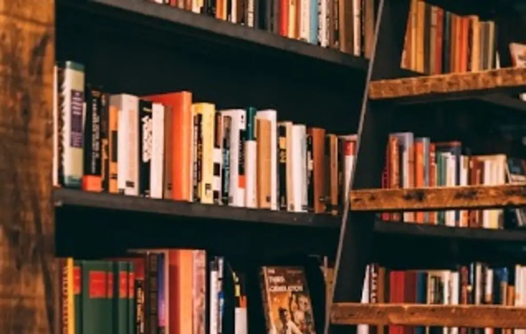 Imagen ¿Te gusta mucho leer? Recomiendan la lectura 'El infinito en un junco' 