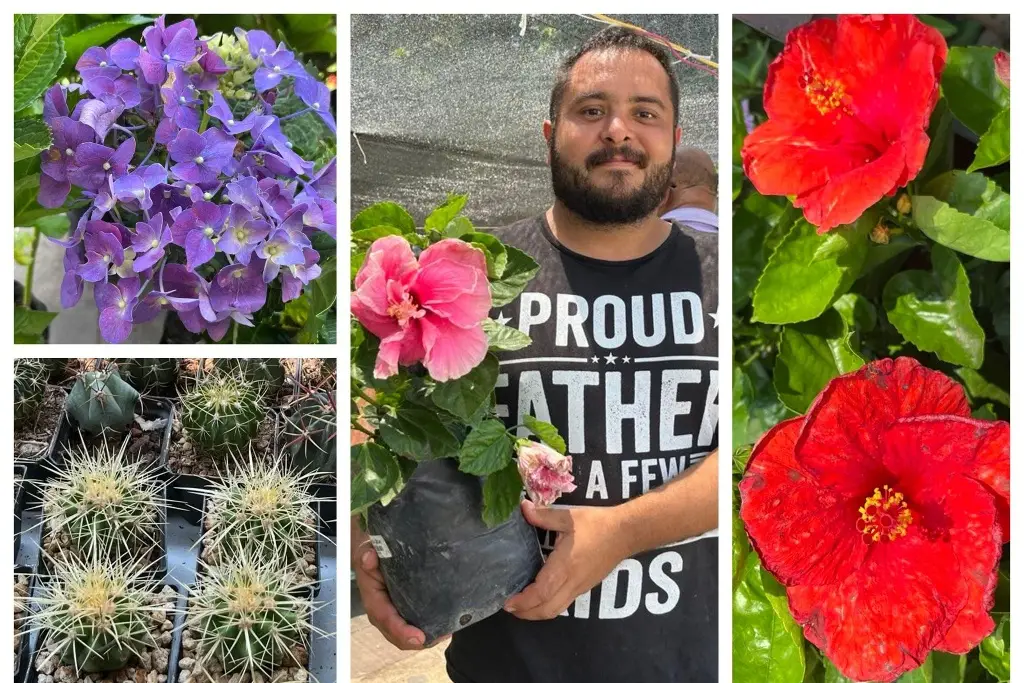 Imagen A los hombres les gusta las plantas; hacen Expo Flor para papá plantero en Veracruz