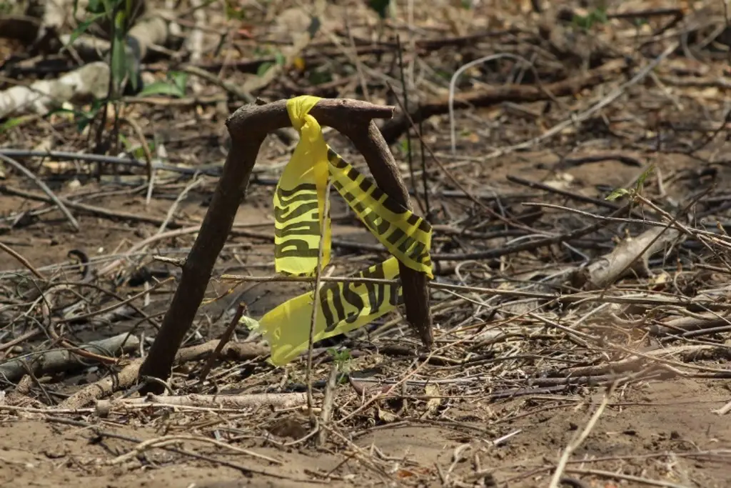Imagen Madres buscadoras encuentran fosa clandestina con 9 cuerpos en Mazatlán, Sinaloa
