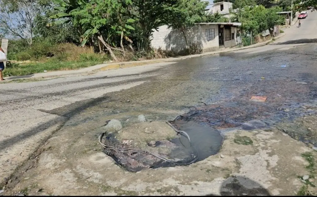 Imagen Colapsa red de drenaje y genera foco de infección al norte de Veracruz 