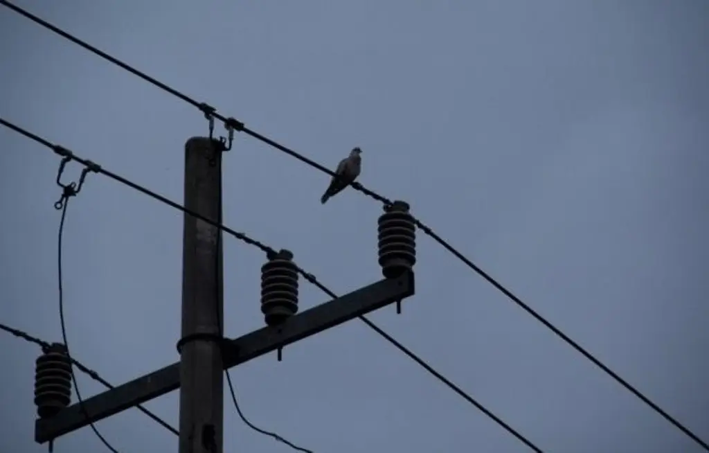 Imagen Vecinos reportan partes del Centro y fraccionamiento Reforma sin luz