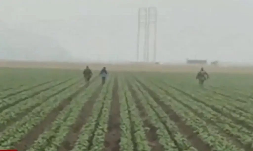 Imagen Trump anuncia cambios para regularizar a trabajadores agrícolas y de hoteles 