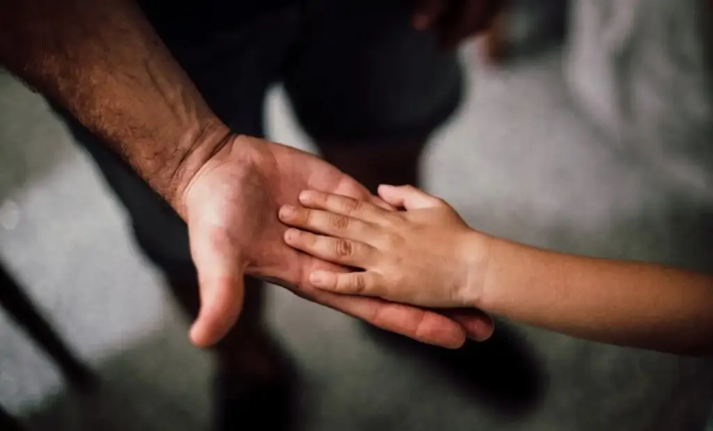 Imagen ¿Cómo se ha desarrollado la figura paterna en la familia a través de los años?